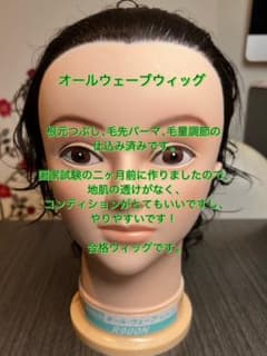 オールウェーブウィッグ　東京チャームR900Nのサムネイル