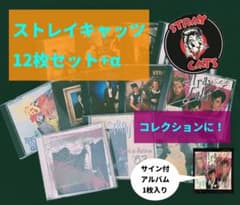 StrayCatsストレイキャッツアルバム 12枚セット サイン入アルバム入 