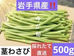 茎わさび　500g (ネコポス)のサムネイル