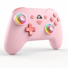 【温泉みかん 様専用】Switch コントローラー