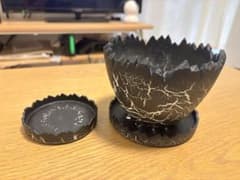 five elements plants DORAGON EGGS POT 大 - メルカリ
