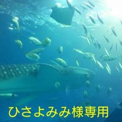 ひさよみみ様専用 宇宙を駆けるよだか 1～3巻 新品未開封のサムネイル
