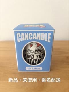 ［新品・未使用］RIIZE X Good Luck Trolls ソイキャンドルのサムネイル