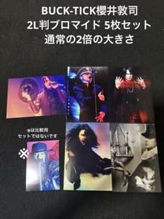 BUCK-TICK 櫻井敦司 2L判ブロマイド 5枚セット③ - メルカリ
