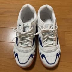 運動靴　体育館シューズ　スニーカーのサムネイル