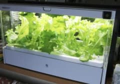 【本日限定¥3,000OFF】水耕栽培機GreenFarm UH-A01E1のサムネイル