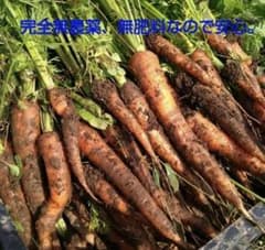 自然栽培　人参　10キロ　無農薬　無肥料のサムネイル