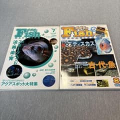 熱帯魚のFish MAGAZINE 2冊セットのサムネイル