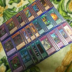 遊戯王 捕食植物(プレデタープランツ)デッキのサムネイル