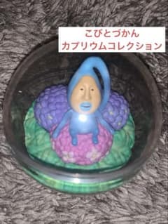 코비토즈칸 카푸리움 컬렉션