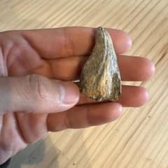 2kg まん丸なユーパキディスカスハラダイ 化石 アンモナイト 羽幌