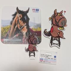 HUB渋谷限定 netkeiba×UMAbred リバティアイランドセット - メルカリ