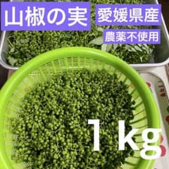 本日も収穫　山椒の実　１kg 良い香りの実です。　愛媛県産　農薬不使用 本日も収穫 山椒の実 1kg 良い香りの実です。 愛媛県産 農薬不使用