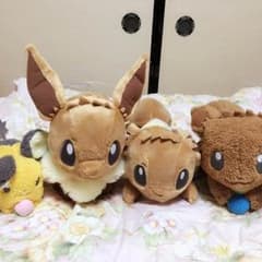 포켓몬 데덴네 이브이 봉제인형 정리해