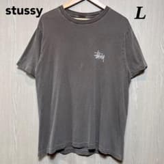 stussy 半袖Tシャツ　L ブラウン