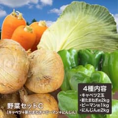 野菜セットC（キャベツ2玉・新玉ねぎ・にんじん約2kg・ピーマン約1kg