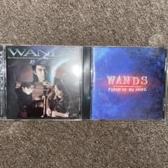 WANDS アルバム2枚セットのサムネイル
