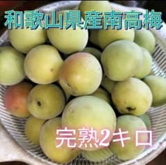 和歌山県産　南高梅　完熟　2キロ　サイズばらのサムネイル
