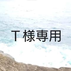 専用ページですのサムネイル
