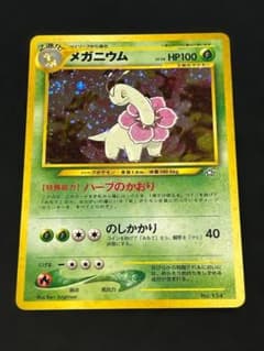 旧裏】メガニウム プレミアムファイルセンタリング参考画像付き☆美品