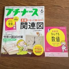 プチナース  6月号  2022のサムネイル