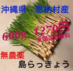 沖縄県　恩納村産　島らっきょう　600gのサムネイル