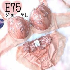 人気E75脇高オレンジフラワー刺繍♥️ブラジャーショーツセット