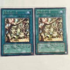 遊戯王  魔法族の里のサムネイル