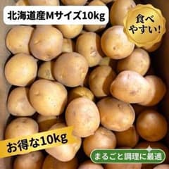 北海道産じゃがいもMサイズ10kg品種：男爵のサムネイル