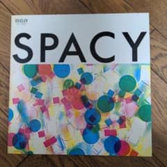 山下達郎 SPACY RVE-8006 LPレコード 山下達郎 SPACY レコード RVL-8006 - メルカリ