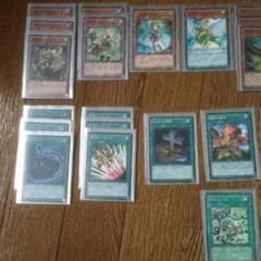 遊戯王 霊獣デッキ つのぐみ様専用のサムネイル
