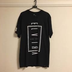 エルビラ ELVIRAのサムネイル