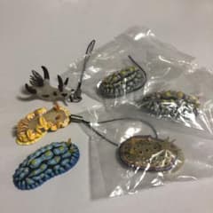 【軟体動物ウミウシ】マグネット&キーホルダーのサムネイル