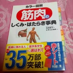 カラー図解 筋肉のしくみ・はたらき事典のサムネイル