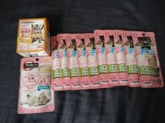 ☆子猫用12個セット☆今日だけ特別価格のサムネイル