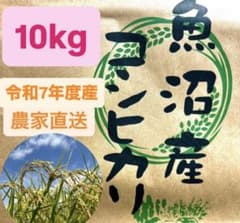 魚沼産コシヒカリ 10kg 令和7年度産 - メルカリ