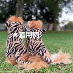 年賀状用 犬 着ぐるみ ダックス用 寅 虎 正月 干支 秋冬 ペット かわいいのサムネイル