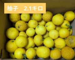 柚子　2.1キロのサムネイル