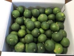 無農薬　すだち３キロのサムネイル