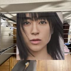 宇多田ヒカル　レコード　LPのサムネイル