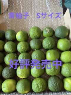 青柚子　Sサイズ30個(約１キロ)のサムネイル