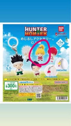 HUNTER×HUNTER 메지루시 액세서리 2종 세트