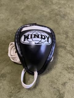 WINDY ファールカップ　キンカップのサムネイル