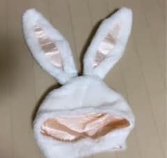 うさぎの耳うさぎの被り物のサムネイル