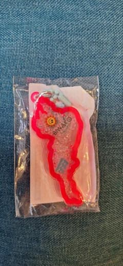 琵琶湖キーホルダー 近江母の郷のサムネイル