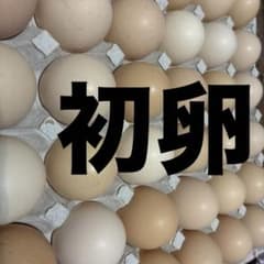 初卵100個※すずらん様のサムネイル