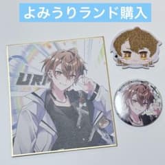 カラフルピーチ 色紙 缶バッジ セット　まとめ売り　からぴち遊園地　後半のサムネイル