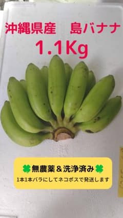 無農薬/沖縄県産　やんばる島バナナ　1.1kg♪のサムネイル