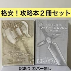 訳あり】GBA ファイアーエムブレム 烈火の剣 攻略本2冊セット - メルカリ