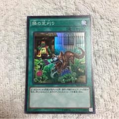 隣の芝刈りのサムネイル